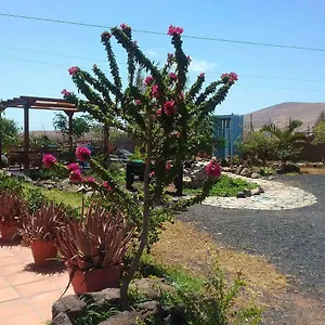 Soleario Country house La Oliva